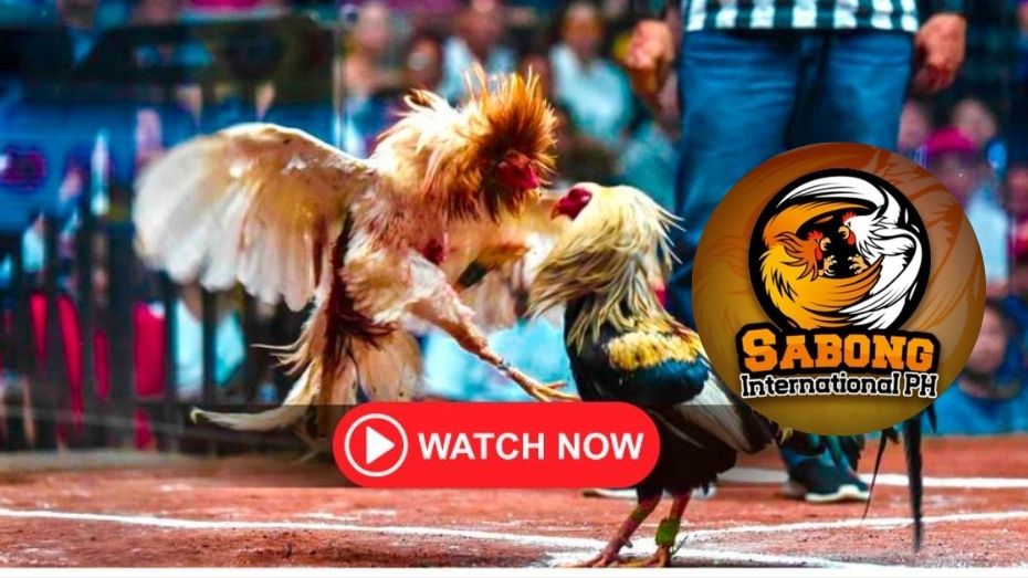 live dealer casino lucky777 free 100 no deposit bonus