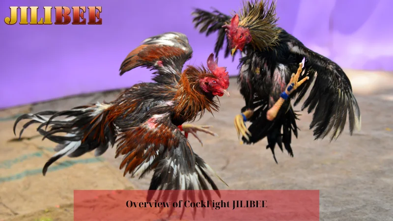 free 100 register legit