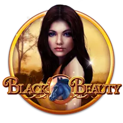 ph 365 login casino who wins the bet of having the most obedient wife？